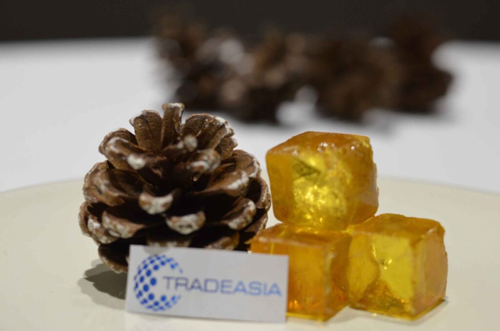 scaled-gum-rosin-tradeasia